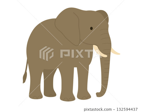 Illustration of a simple elephant 132594437