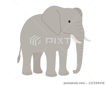 Illustration of a simple elephant Illustration of a simple elephant 132594438