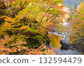 秋天的中津峽谷，奧道部（埼玉縣） 132594479