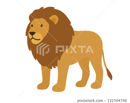 Lion illustration Lion illustration 132594746