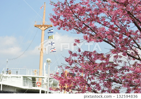 Cherry blossoms blooming in spring at Yamashita Park in Yokohama with the Hikawa Maru in the background Cherry blossoms blooming in spring at Yamashita Park in Yokohama with the Hikawa Maru in the background 132594836