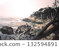 View from 17-Mile Drive (near Monterey) 132594891