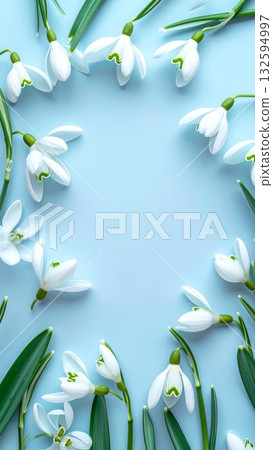Snowdrop Flower on Light Blue Background Snowdrop Flower on Light Blue Background 132594997