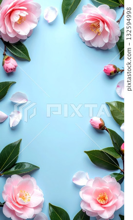 Camellia Flower on Light Blue Background 132594998