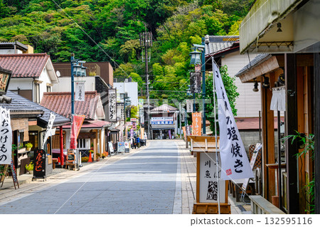 高尾山 高尾山藥王院 表參道商店街 高尾山 高尾山藥王院 表參道商店街 132595116