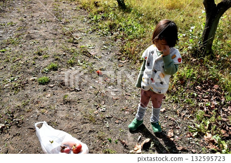 Persimmon harvest Persimmon harvest 132595723
