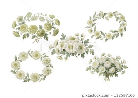Watercolor Antique Style White Chrysanthemum Illustration Set of 5 AI 132597106