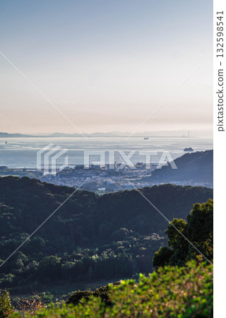 豐川市 - 從東三河故鄉公園、蒲郡湖的夜景 132598541