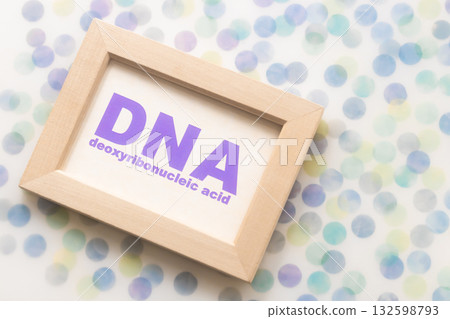 DNA，脫氧核糖核酸 132598793