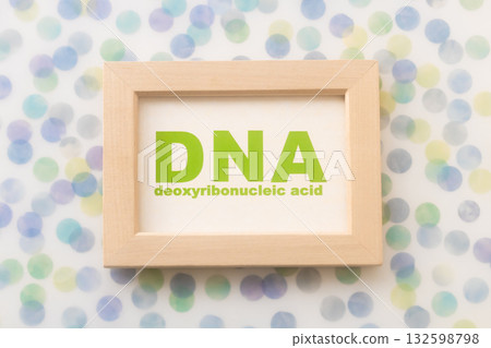 DNA，脫氧核糖核酸 132598798
