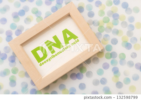 DNA，脫氧核糖核酸 132598799
