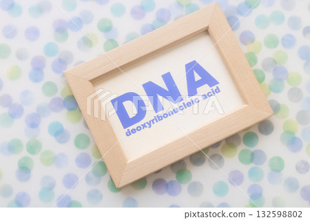DNA,脫氧核糖核酸 DNA,脫氧核糖核酸 132598802