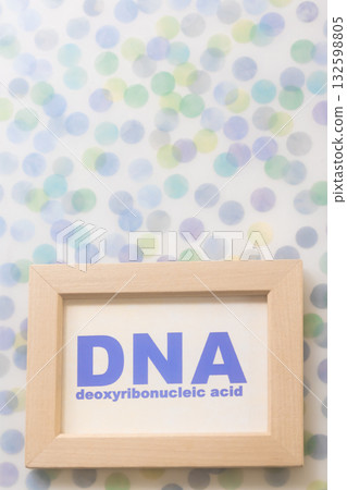 DNA，脫氧核糖核酸 132598805