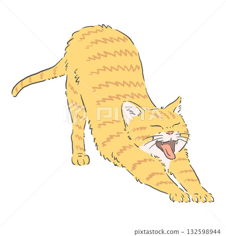 Illustration of a brown tabby cat stretching Illustration of a brown tabby cat stretching 132598944