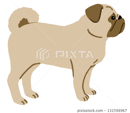 一隻側臥的哈巴狗的簡單手繪插圖 132598967