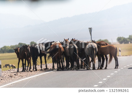 Impression of the Kyrgyzstan countryside Impression of the Kyrgyzstan countryside 132599261