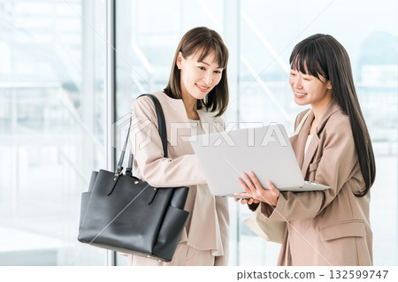 Businesswoman having a meeting while looking at a computer 132599747