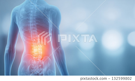 人體模型－腰背部和髖部疼痛（關節炎和腰背疼痛概念） 132599802