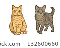 Brown tabby and kijitora cats | Hand-drawn illustration material 132600660