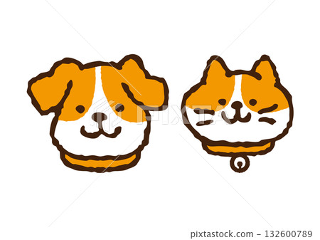 戴著項圈的狗和貓 132600789