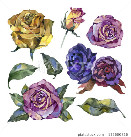 Watercolor set of dark roses in purple and golden tones with green leaves, elegant floral collection, hand-painted botanical illustration for wedding design, gothic decor, and autumn arrangements 132600816