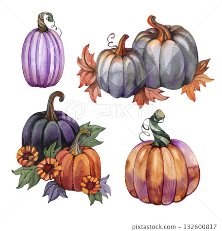 Watercolor set of decorative pumpkins in violet, gray, and orange colors, mystical halloween illustration, gothic autumn decor, hand-painted seasonal artwork for fall design and invitations Watercolor set of decorative pumpkins in violet, gray, and orange colors, mystical halloween illustration, gothic autumn decor, hand-painted seasonal artwork for fall design and invitations 132600817