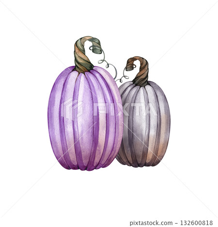 Watercolor illustration of gray and lilac pumpkins, mystical halloween decor, elegant gothic autumn artwork, hand-painted seasonal composition for witchy aesthetic and fall design Watercolor illustration of gray and lilac pumpkins, mystical halloween decor, elegant gothic autumn artwork, hand-painted seasonal composition for witchy aesthetic and fall design 132600818