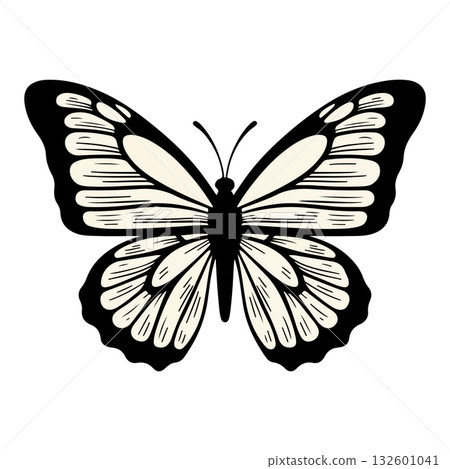 Elegant Butterfly Illustration Elegant Butterfly Illustration 132601041