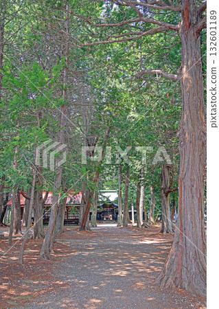 Tsubagi Shrine (Matsumoto) Tsubagi Shrine (Matsumoto) 132601189