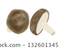 Simple shiitake mushroom illustration, white background 132601345