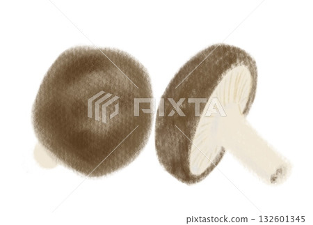 簡單的香菇插圖,白色背景 簡單的香菇插圖,白色背景 132601345