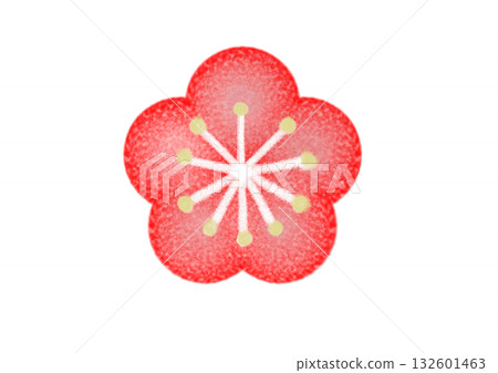 Plum blossoms (red) 132601463