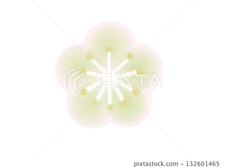 梅花（白色） 132601465