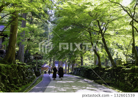 僧侶們沿著通往神社的小路行走。 132601539