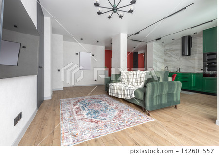 Modern Living Room and Kitchen Interior with Green Sofa Modern Living Room and Kitchen Interior with Green Sofa 132601557