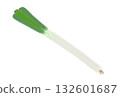 Simple green onion illustration, white background 132601687