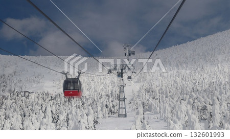 Ripe and ropeway 132601993