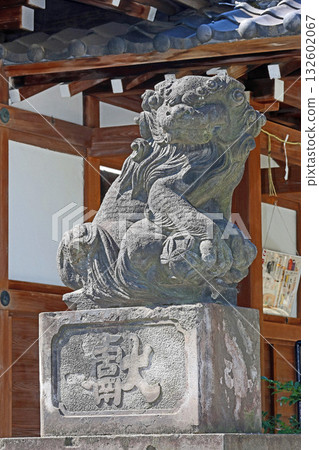 大鳥神社(黑眼) 大鳥神社(黑眼) 132602067