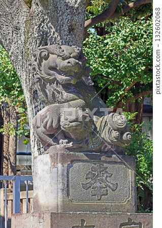 Otori Shrine (Black Eyes) 132602068