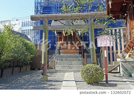 Otori Shrine (Black Eyes) 132602072