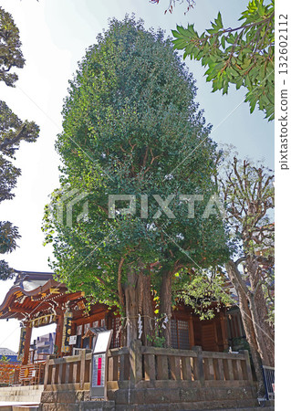 Otori Shrine (Black Eyes) 132602112