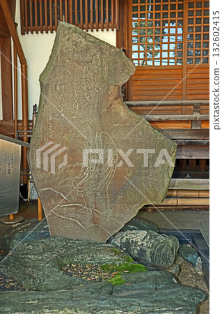 大圓寺（黑眼） 132602415