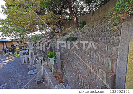 大圓寺(黑眼) 大圓寺(黑眼) 132602561