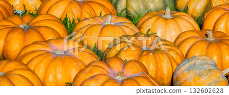 Full frame background of Pumpkins. Many Pumpkins on the hay. Autumn background. Halloween, Thanksgiving, Autumn, Harvest background. Horizontal banner Full frame background of Pumpkins. Many Pumpkins on the hay. Autumn background. Halloween, Thanksgiving, Autumn, Harvest background. Horizontal banner 132602628