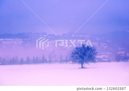 Mountain minimalist landscape. Lonely tree on a snowy field. Winter mountain rural foggy landscape. France Mountain minimalist landscape. Lonely tree on a snowy field. Winter mountain rural foggy landscape. France 132602887
