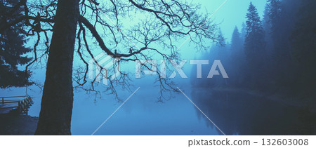 Fir trees around the lake on a misty morning in autumn. Bare tree by the lake. Horizontal banner Fir trees around the lake on a misty morning in autumn. Bare tree by the lake. Horizontal banner 132603008