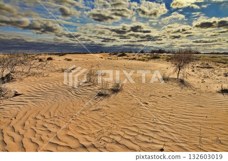 Karakum desert at sunset. Road crossing the Karakum desert in Turkmenistan. Karakum desert at sunset. Road crossing the Karakum desert in Turkmenistan. 132603019