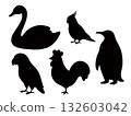 Various bird silhouette illustrations: penguin, swan, cockatiel, African grey parrot, chicken Various bird silhouette illustrations: penguin, swan, cockatiel, African grey parrot, chicken 132603042