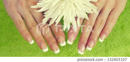 Beautiful female hands with perfect French manicure holding chrysanthemum flower  Horizontal banner 132603107