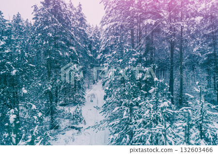 Nature winter background. Snowy forest. Pine trees covered with snow. Winter nature. Christmas background. Nature winter background. Snowy forest. Pine trees covered with snow. Winter nature. Christmas background. 132603466